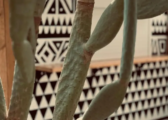 La Casa Di Lusso Casa N2 Adults Only Lejlighed *