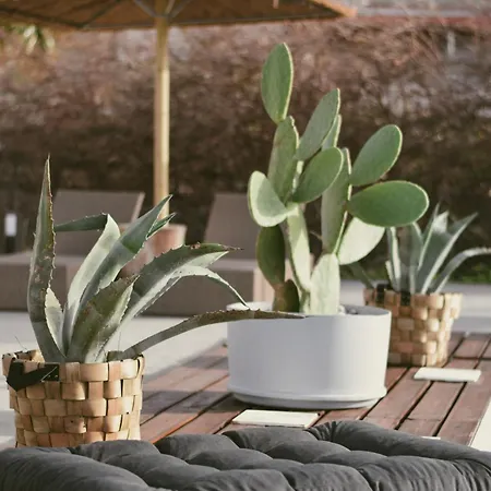 شقة La Casa Di Lusso Casa N2 Adults Only *