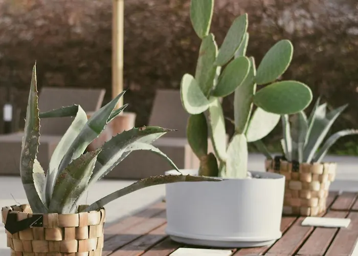 Appartamento La Casa Di Lusso Casa N2 Adults Only *