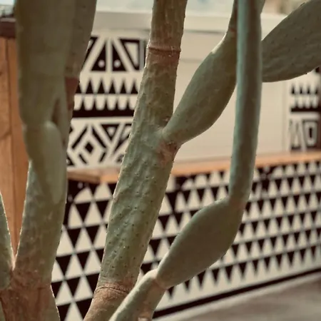 La Casa Di Lusso Casa N2 Adults Only Apartament *